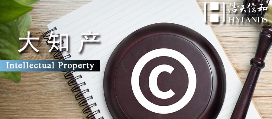 大知产头图2